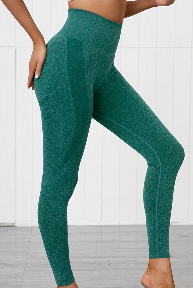 Hera Seamless Leggings Starlethics