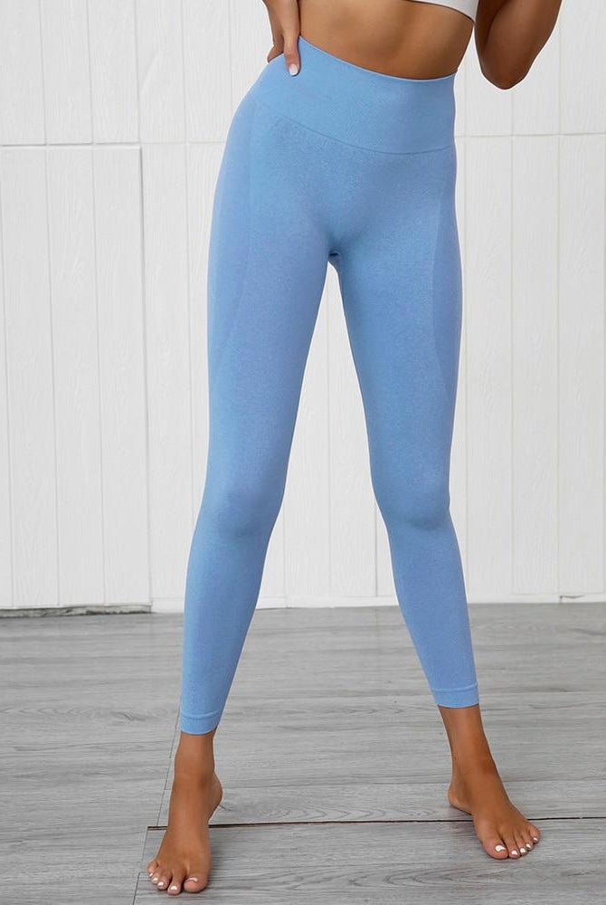 Hera Seamless Leggings Starlethics