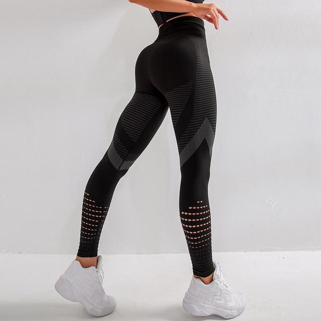 Seamless Opus Leggings Starlethics
