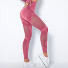 Mesh Seamless Leggings Starlethics